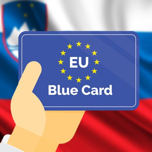 German Blue Card